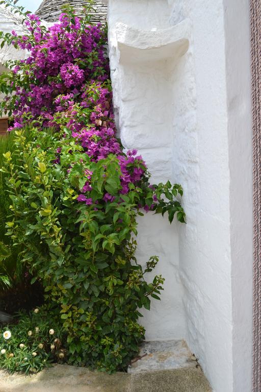 Trulli Aia Piccola Βίλα Αλμπερομπέλο Εξωτερικό φωτογραφία
