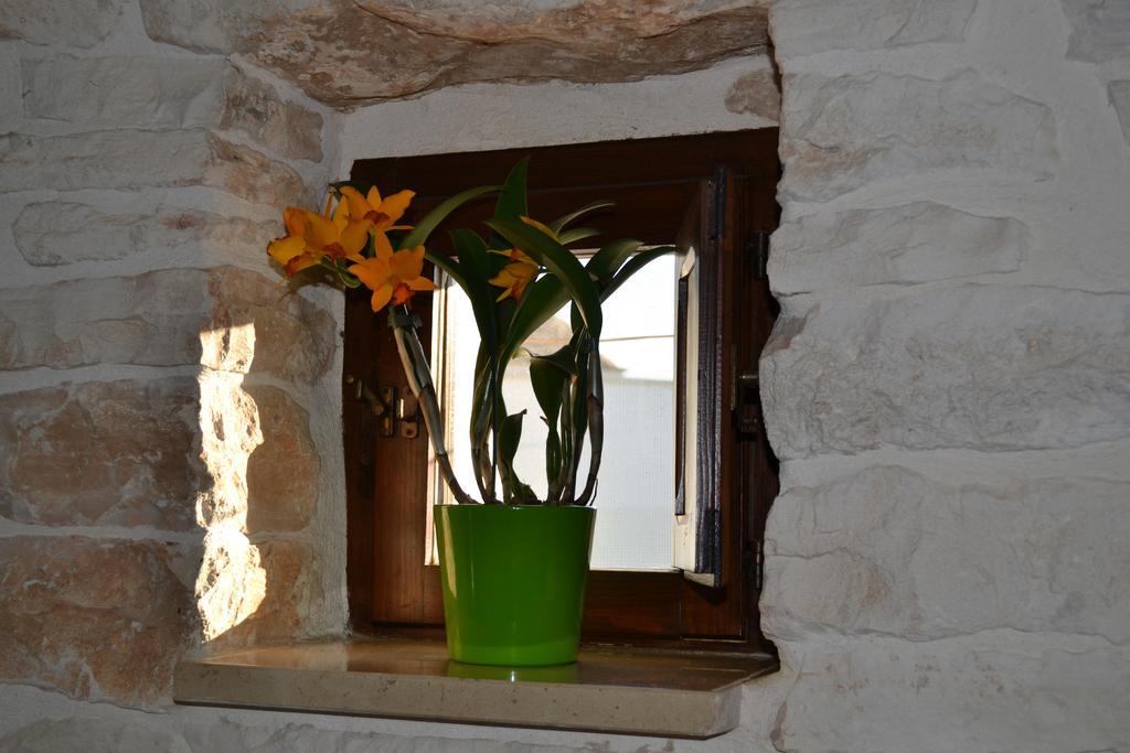 Trulli Aia Piccola Βίλα Αλμπερομπέλο Εξωτερικό φωτογραφία